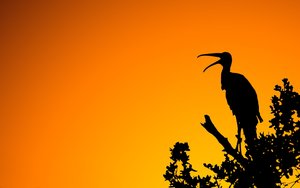 公主嶺市運動休閑有限責任公司