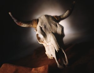 白城市冰箱清洗有限責任公司